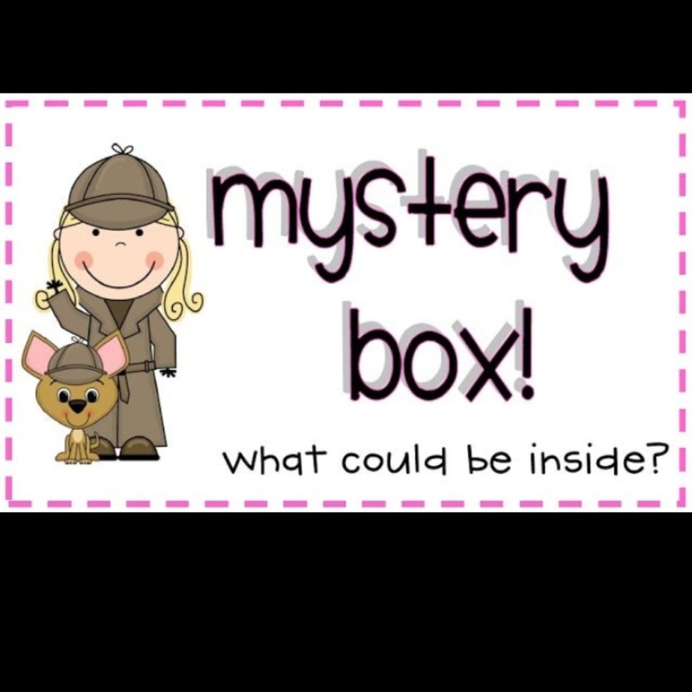 MYSTERY BOX 20 Women's XL Shirts